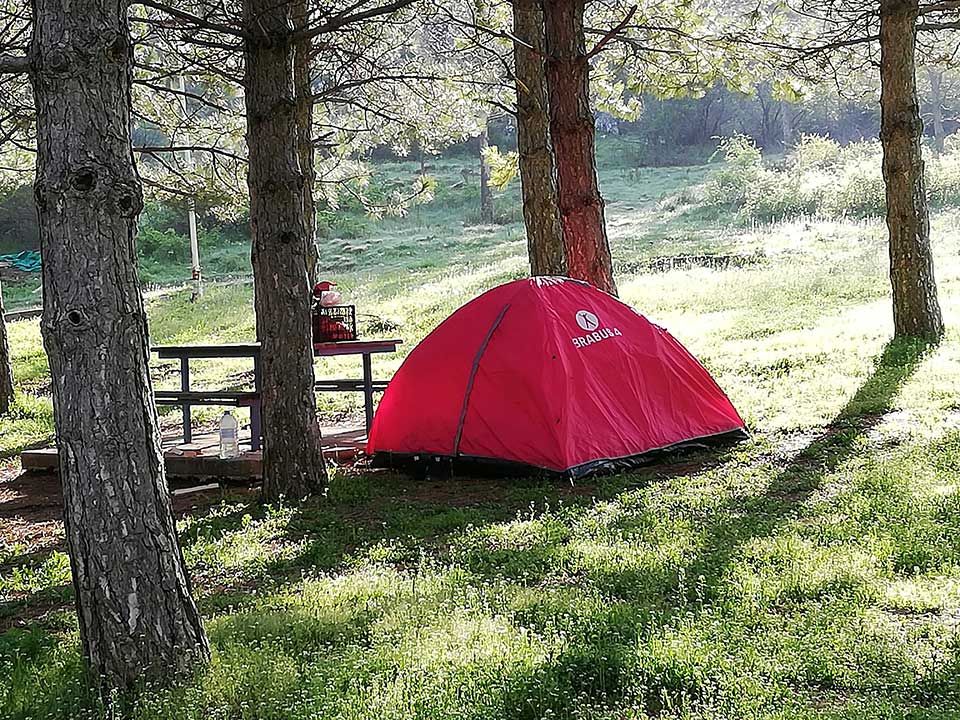 konya seydişehir kuğulu park